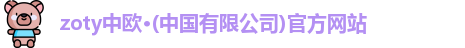 PP电子